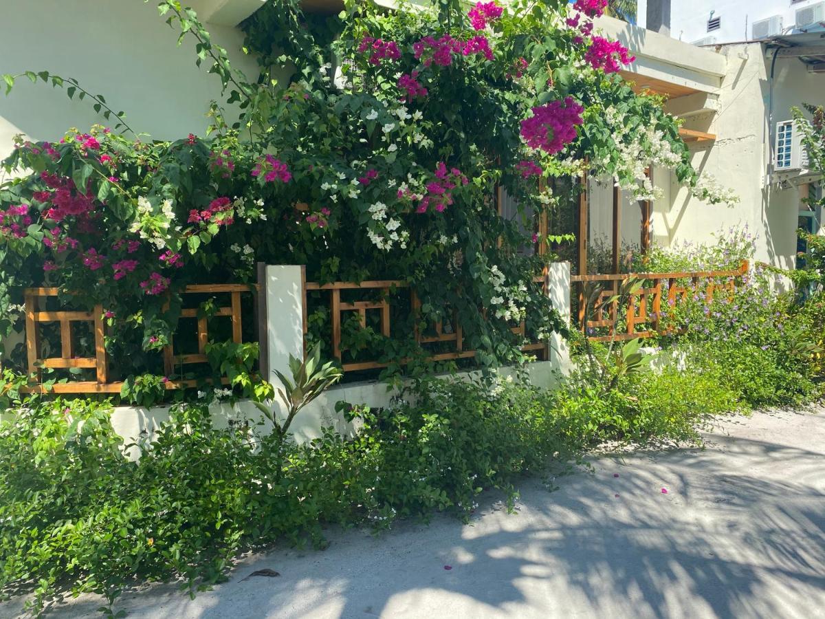 Bougainvillea Inn - Maldives Fulidhoo Luaran gambar